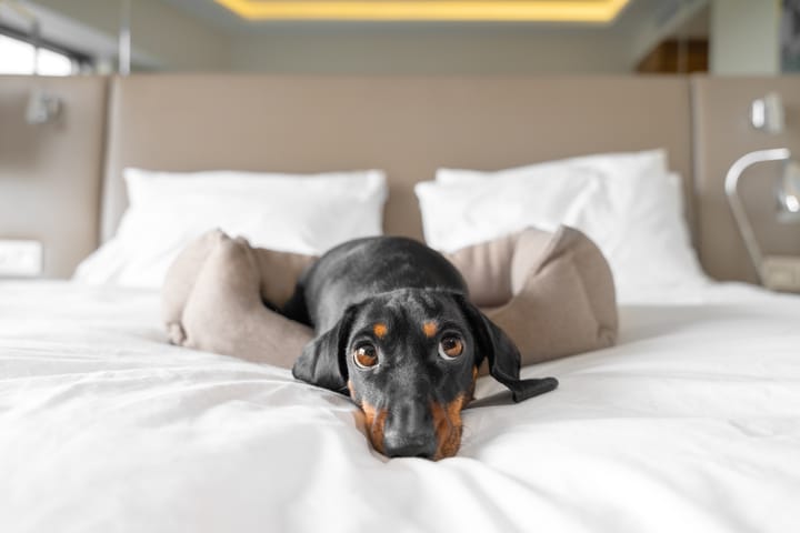 Community-centered hospitality